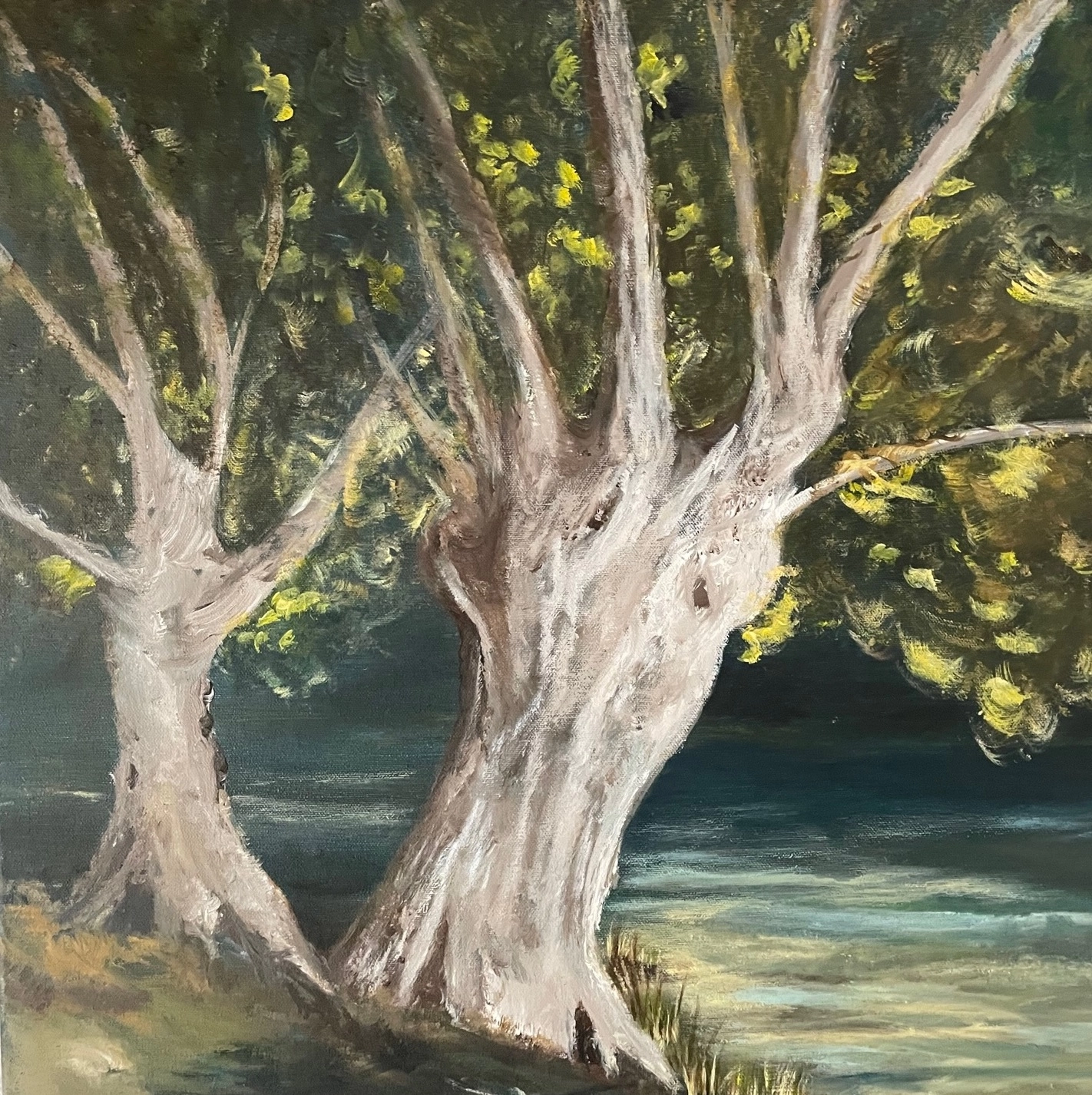 Hobbyschilderijen -bomen(1)
