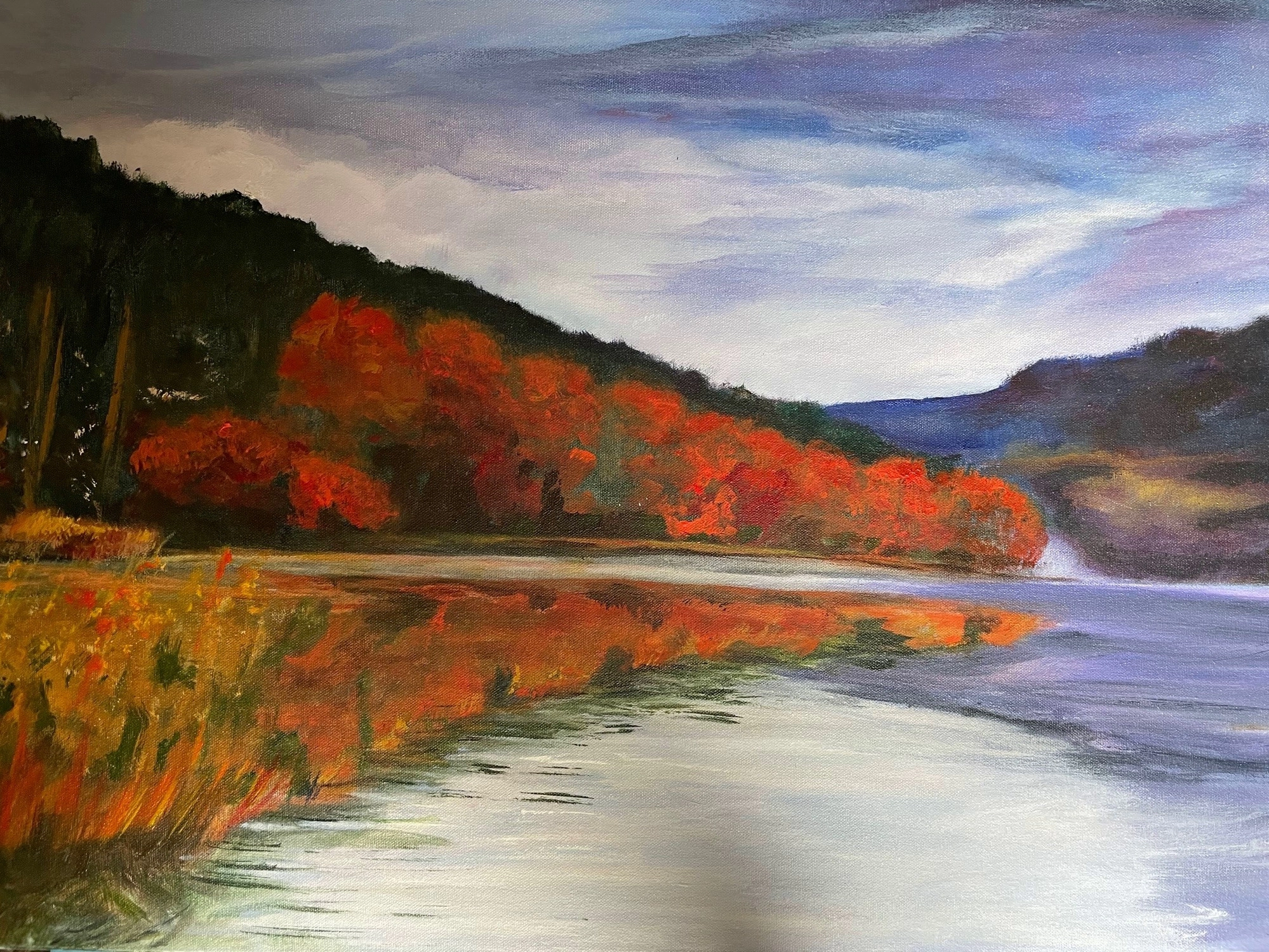 Hobbyschilderijen -Zicht op de rivier